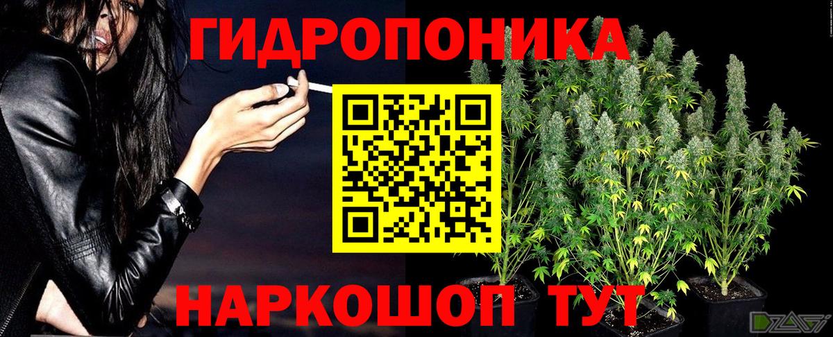 Конопля сатива  Шишки марихуана индика  Марихуана конопля  Бошки Шишки Ganja  Асбест  Вход с VPN 